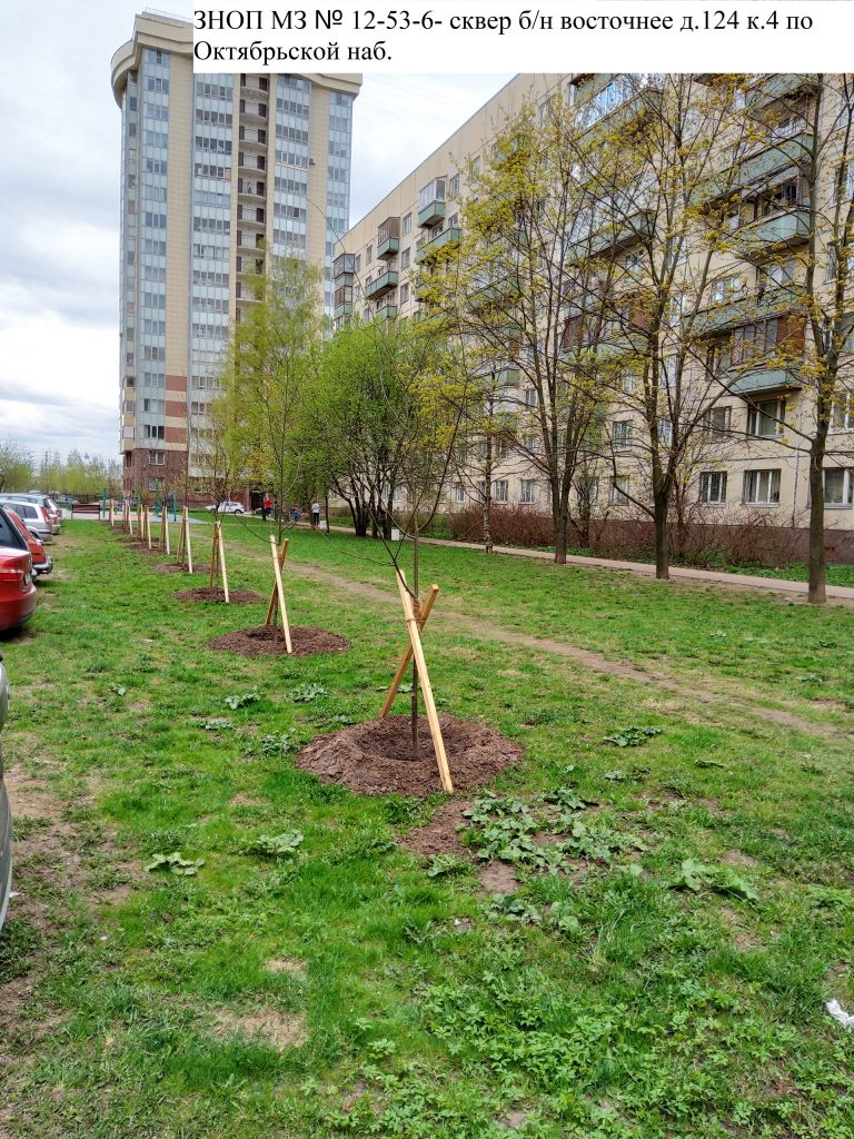 Компенсационная посадка деревьев - Муниципальный округ Народный